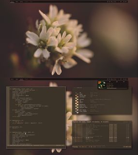 5a494e02d2aa31965da264e27c085f32.png