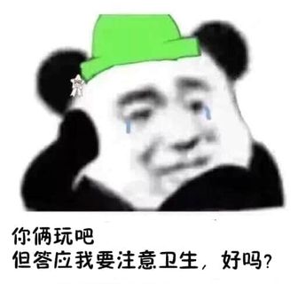 金馆长熊猫00011-你俩玩吧但答应我要注意卫生好吗.jpg