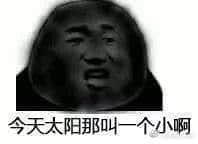 金馆长熊猫00023-今天太阳那叫一个小啊.jpg
