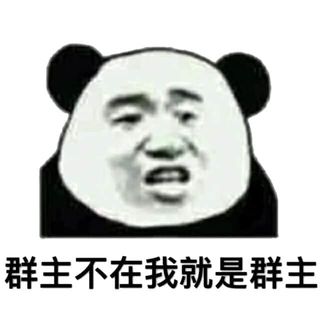 金馆长熊猫00036-群主不在我就是群主.jpg