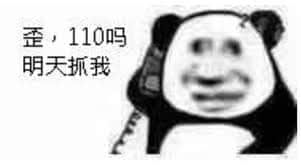 金馆长熊猫00039-歪110吗明天抓我.jpg