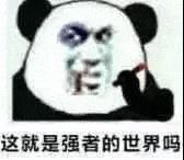 金馆长熊猫00061-这就是强者的世界吗.gif