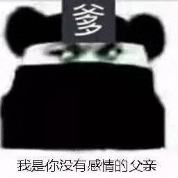金馆长熊猫00072-我是你的没有感情的父亲.gif