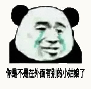 金馆长熊猫00073-你是不是在外面有别的小姑娘了.gif