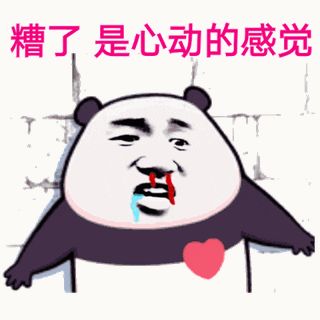 金馆长熊猫00076-糟了是心动的感觉.gif