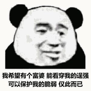金馆长熊猫00079-我希望有个富婆能看穿我的逞强可以保护我的脆弱仅此而已.gif