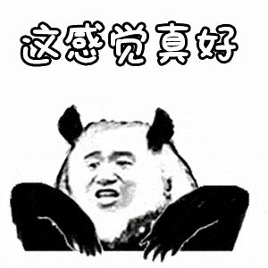 金馆长熊猫00081-这感觉真好.gif