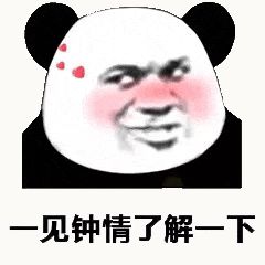 金馆长熊猫00097-一见钟情了解一下.gif