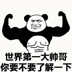 金馆长熊猫00098-世界第一大帅哥你要不要了解一下.gif