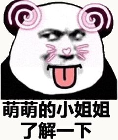 金馆长熊猫00101-萌萌的小姐姐了解一下.gif