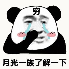 金馆长熊猫00103-月光一族了解一下.gif