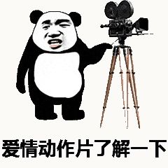 金馆长熊猫00104-爱情动作片了解一下.gif