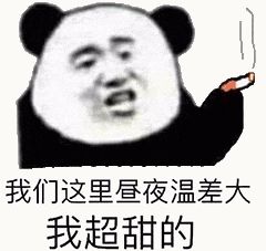 金馆长熊猫00107-我们这里昼夜温差大我超甜的.gif