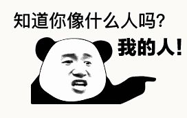 金馆长熊猫00108-知道你像什么人吗-我的人.gif