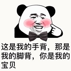 金馆长熊猫00111-这是我的手背那是我的脚背你是我的宝贝.gif