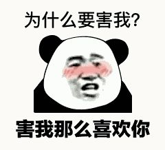 金馆长熊猫00114-为什么要害我害我那么喜欢你.gif