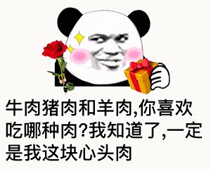 金馆长熊猫00119-牛肉猪肉和羊肉你喜欢吃哪种肉.gif