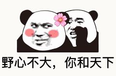 金馆长熊猫00120-野心不大和你天下.gif