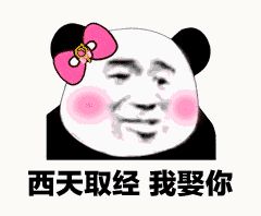 金馆长熊猫00123-西天取经-我娶你.gif