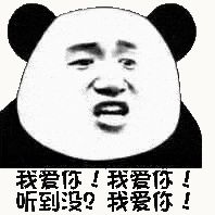 金馆长熊猫00133-我爱你我爱你听到没我爱你.gif