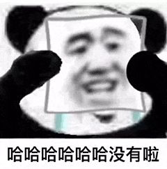 金馆长熊猫00136-哈哈哈哈哈哈没有啦.gif