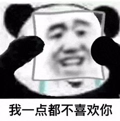 金馆长熊猫00140-我一点都不喜欢你.gif