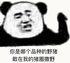 金馆长熊猫00153-你是哪个品种的野猪敢在我的猪圈撒野.gif