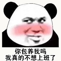 金馆长熊猫00165-你包养我吗我真的不想上班了.gif
