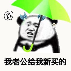 金馆长熊猫00171-我老公给我新买的.gif
