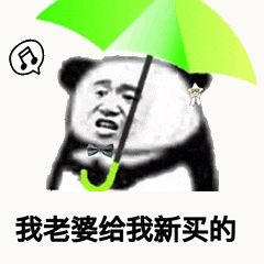金馆长熊猫00172-我老婆给我新买的.gif