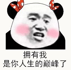 金馆长熊猫00181-拥有我是你的人生巅峰了.gif