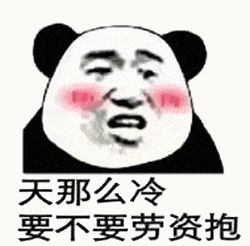 金馆长熊猫00183-天那么冷要不要劳资抱.gif