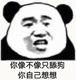 金馆长熊猫00185-你像不像只舔狗你自己想想.gif