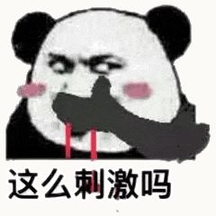 金馆长熊猫00191-这么刺激吗.gif