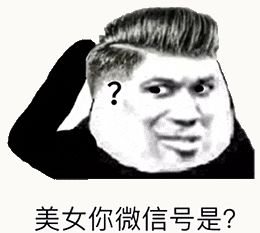 金馆长熊猫00201-美女你微信号是.gif
