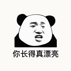 金馆长熊猫00208-你长得真漂亮其实丑的一逼.gif