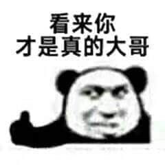 金馆长熊猫00233-看来你擦拭真的大哥.jpg