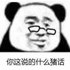 金馆长熊猫00240-你这说的什么猪话.png