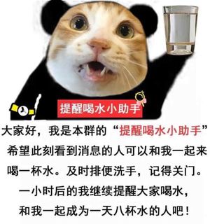 金馆长熊猫00246-提醒喝水小助手.jpg
