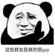 金馆长熊猫00249-这些群友是真的很gay.jpg