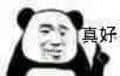 金馆长熊猫00250-真好.jpg