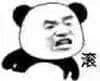 金馆长熊猫00252-滚.jpg