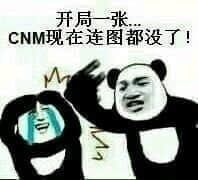 金馆长熊猫00257-开局一张CNM现在连图都没了.png