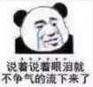 金馆长熊猫00259-说着说着眼泪就不争气的流下来了.jpg