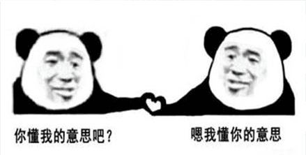 金馆长熊猫00260-你懂我意思吧嗯我懂你意思.png