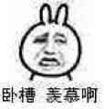 金馆长熊猫00265-卧槽羡慕啊.jpg