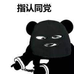 金馆长熊猫00267-指认同党.jpeg