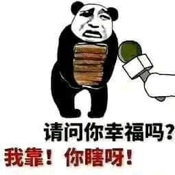 金馆长熊猫00268-请问你幸福吗-我靠-你瞎呀.jpg