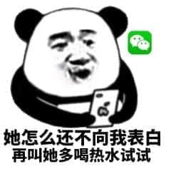 金馆长熊猫00272-她怎么还不向我表白再叫她多喝热水试试.png