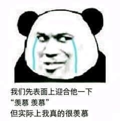 金馆长熊猫00274-我们先表面上迎合他一下羡慕羡慕但事实上我真的很羡慕.png